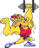 Gif animé lion musculation